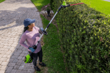 Кусторез садовый штанговый аккумуляторный GREENWORKS GD60PHT61 без АКБ и ЗУ (2301107)